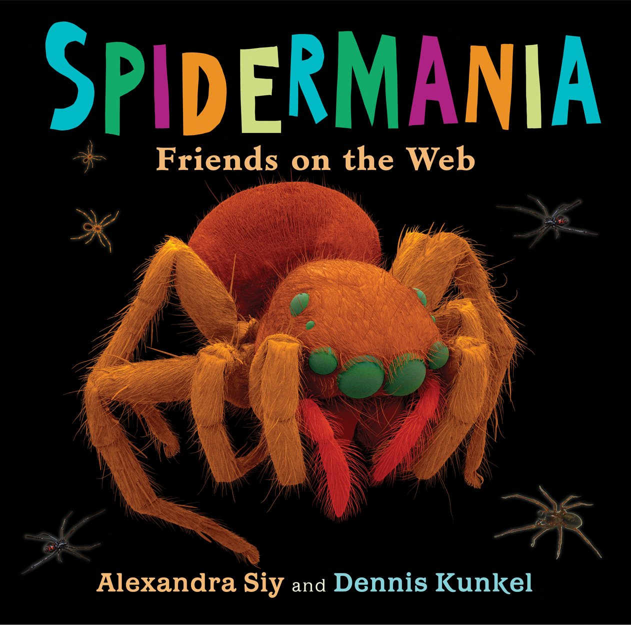 Spidermania Friends On The Web Alexandra Siy And Photomicrographs By Dennis Kunkel Youth